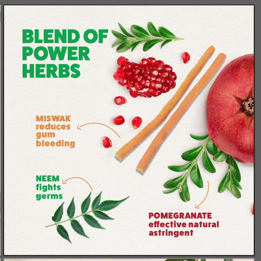 Himalaya Complete Care Herbal Toothpaste 100ml