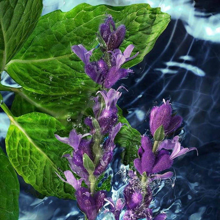 Davidoff Cool Water Man Eau De Toilette For Men 200ml