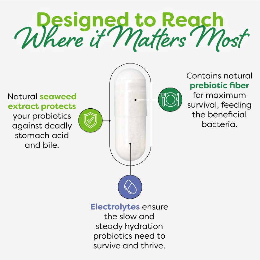 Probulin Daily Care Probiotic Capsules, Pack of 60's