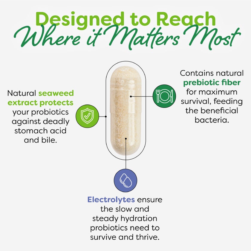 Probulin Total Care Immune Probiotic Capsules, Pack of 30's