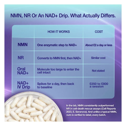 NMN Bio NAD+ 500mg Capsules, Anti-Aging Support - 30 Capsules