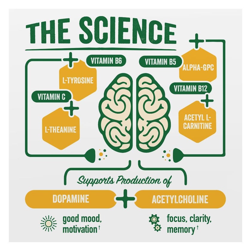 Brainjuice Daily Power Mix Peach Mango Powder 62g