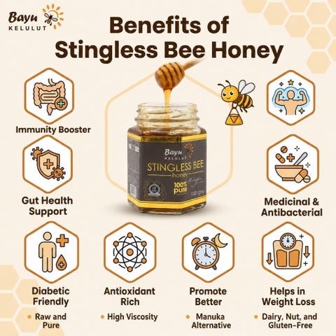 Bayu Kelulut Stingless Bee 100% Pure Honey 100g