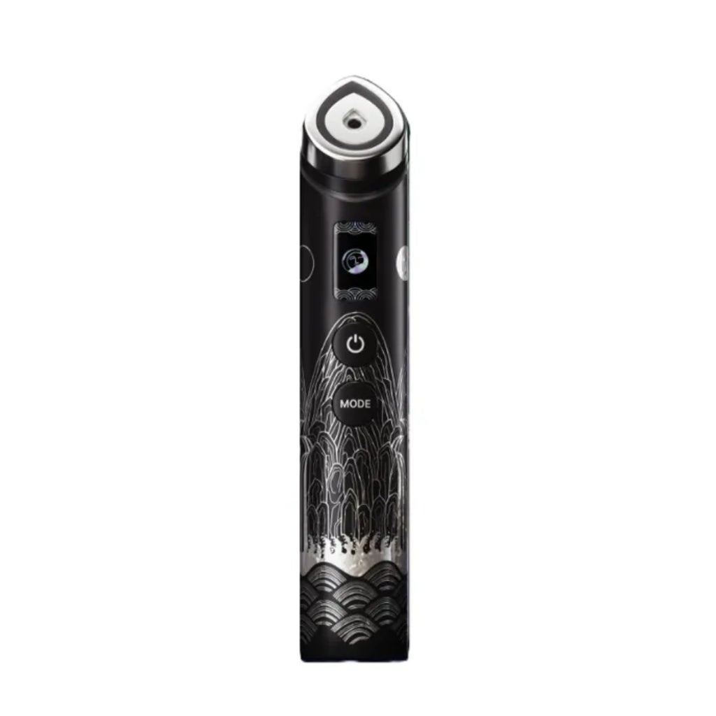 Medicube Age-R Booster Pro 6-in-1 Facial Device - Irworobongdo