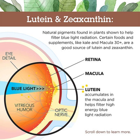 Country Life Lutein 20mg & Zeaxanthin Softgels For Eye Health, Pack of 60's