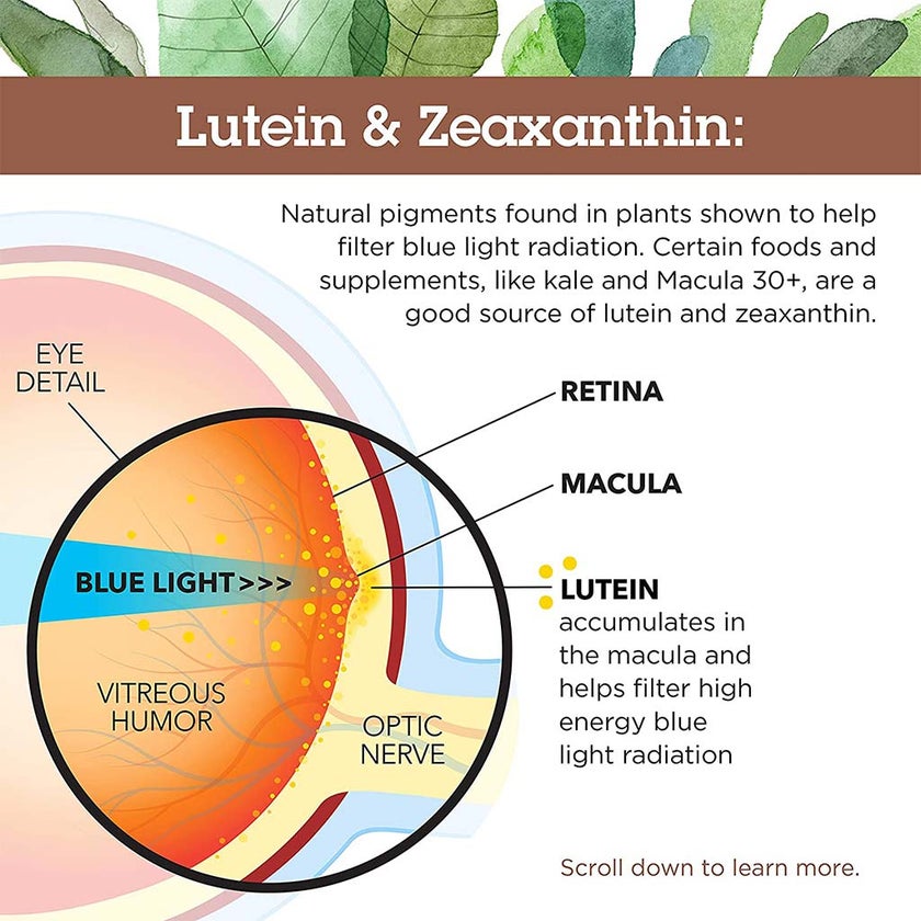Country Life Lutein 20mg & Zeaxanthin Softgels For Eye Health, Pack of 60's