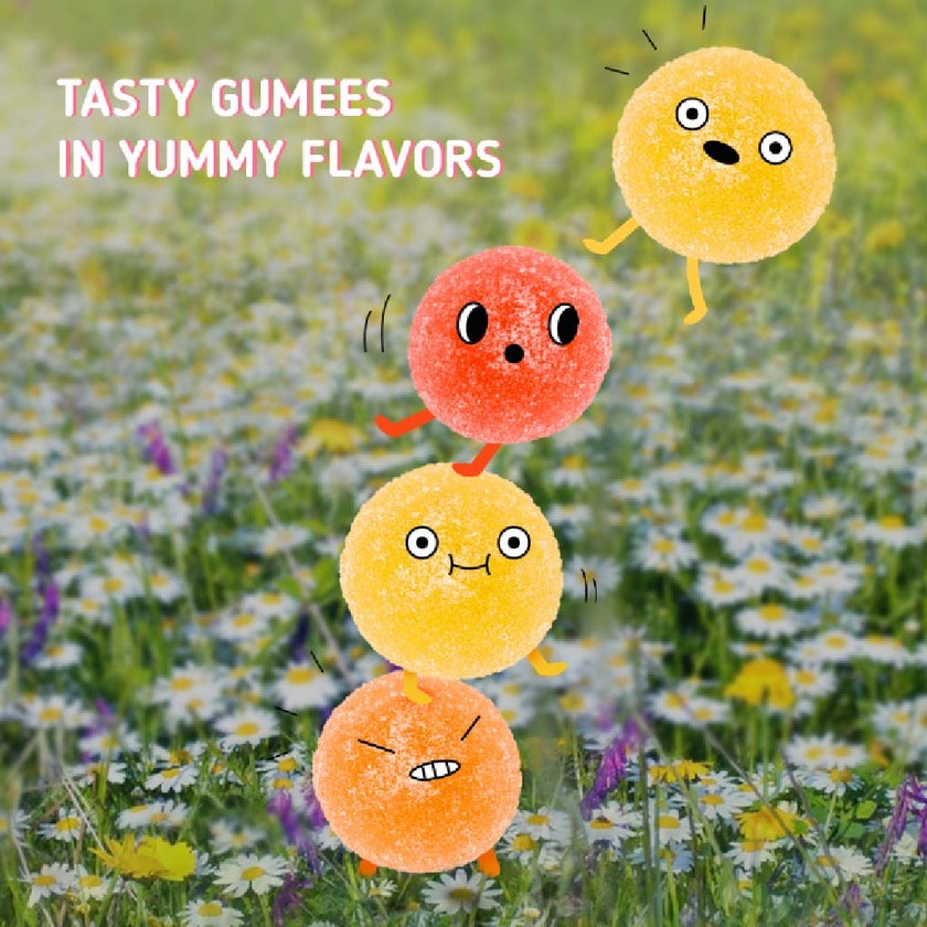 Mr.Tumee Multi Vitamin And Mineral Gumee, Pack of 60's