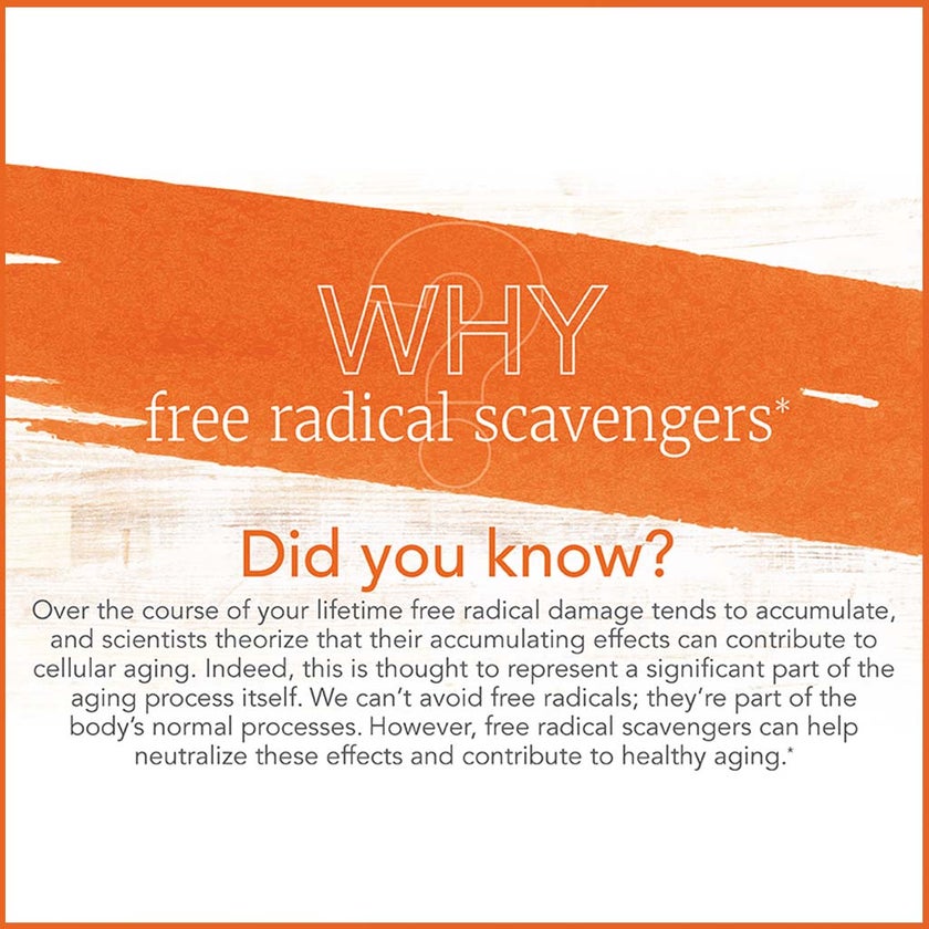 Now C-1000 Vitamin C With Rose Hips Tablets, Pack of 30's