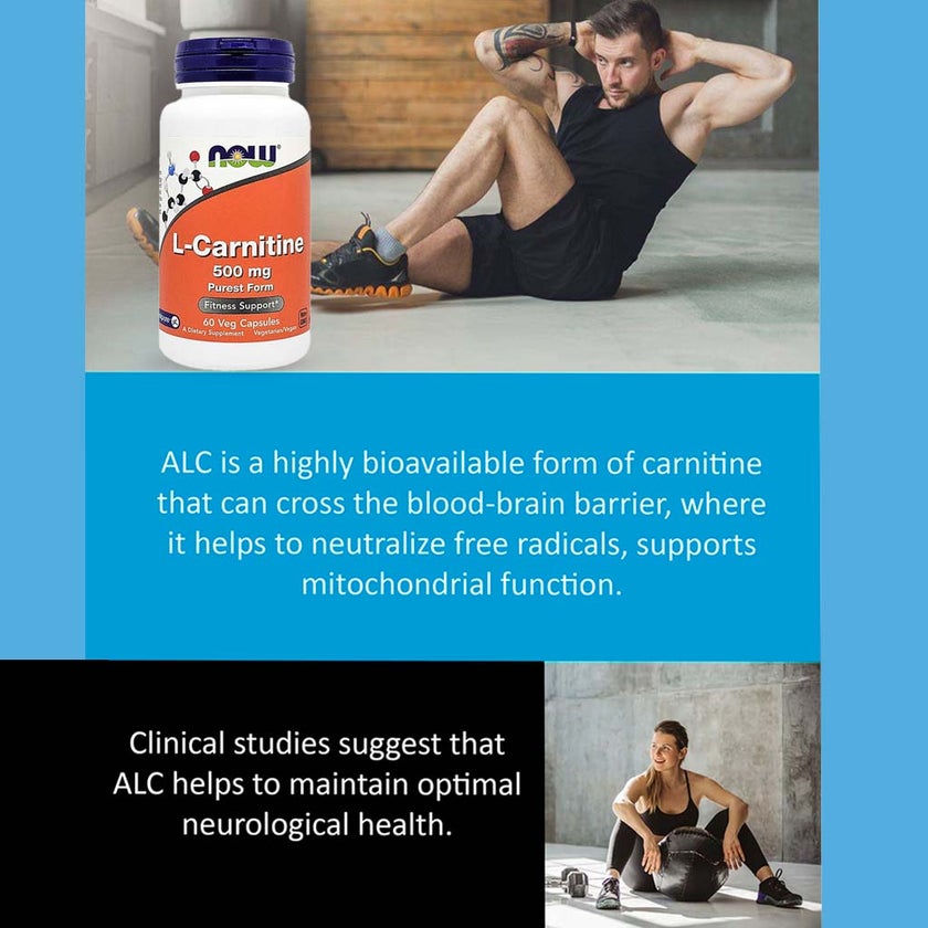Now L-Carnitine 500mg Vegetarian Capsules For Fitness Support, Pack of 60's