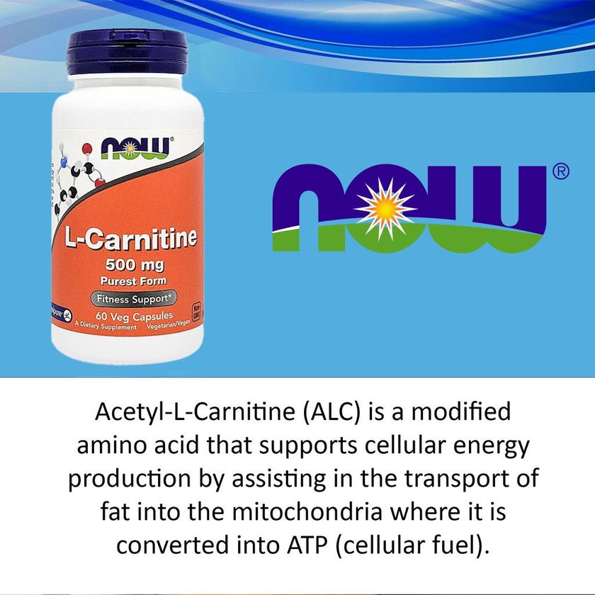 Now L-Carnitine 500mg Vegetarian Capsules For Fitness Support, Pack of 60's