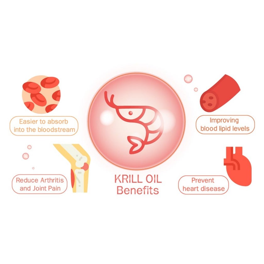 Now Neptune Krill Oil 500mg Softgels For Cardiovascular Support, Pack of 60's