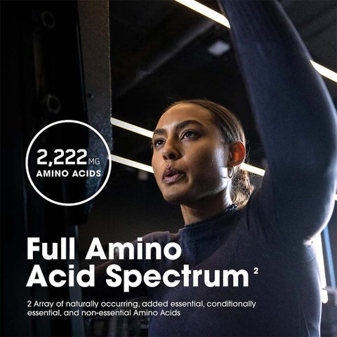 Optimum Nutrition Superior Amino 2222mg Tablets, Pack of 320's
