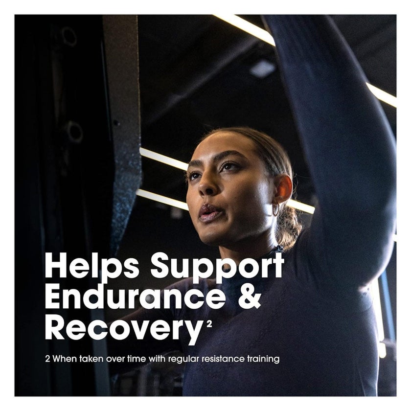 Optimum Nutrition Gold Standard 100% Whey Protein Powder - Chocolate Malt 5lb