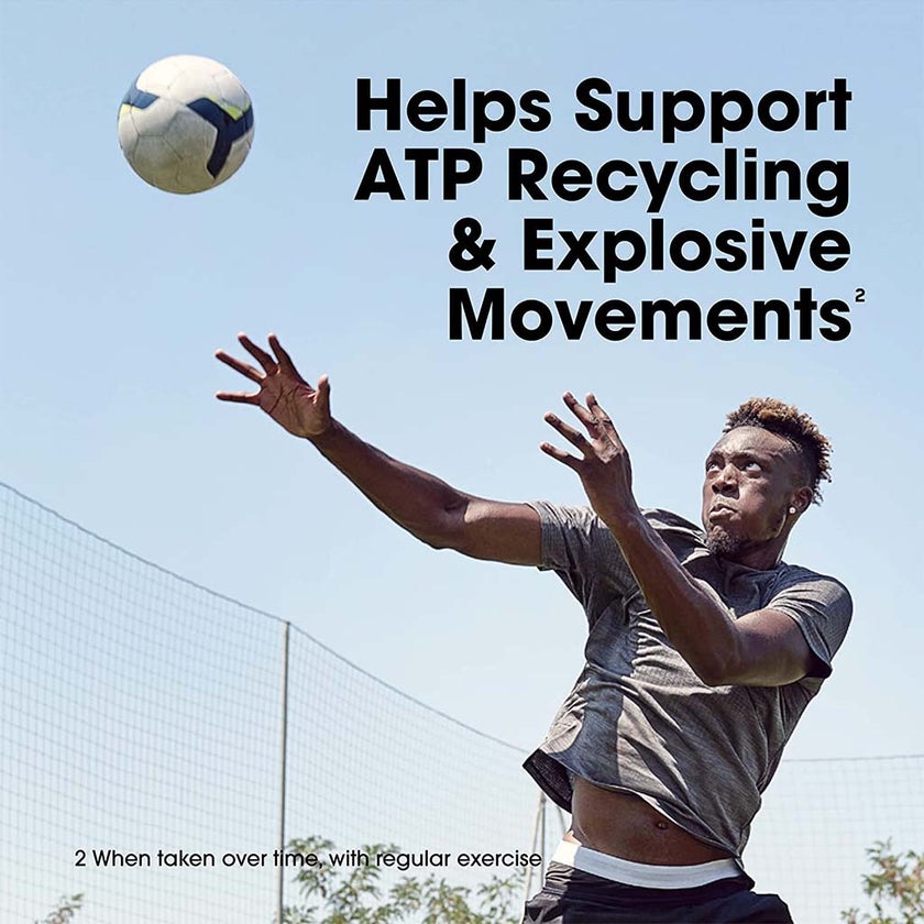 Optimum Nutrition Micronized Creatine Powder For Muscle Strength 300g