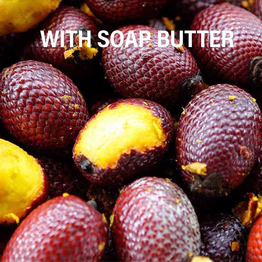 Phyto Phytokeratine Extreme Exceptional Shampoo For Damaged, Brittle & Dry Hair 200ml