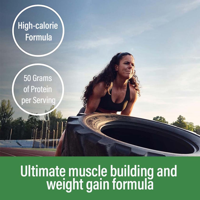 Optimum Nutrition Serious Mass Powder Banana 6lb