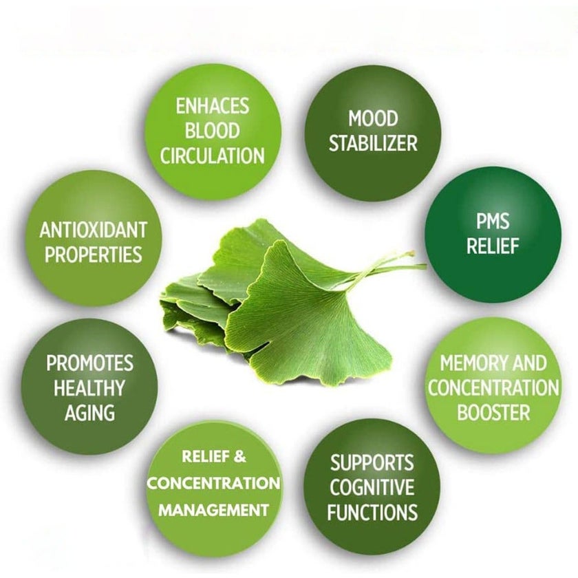 Nature's Answer Ginkgo Biloba 80mg Standardized Herbal Extract Vegan Capsules For Cognitive Support, Pack of 60's