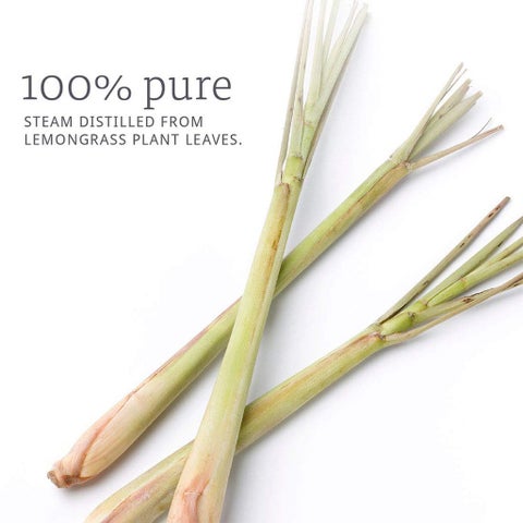 Now Essential Oils Lemongrass Oil For Aromatherapy 30ml