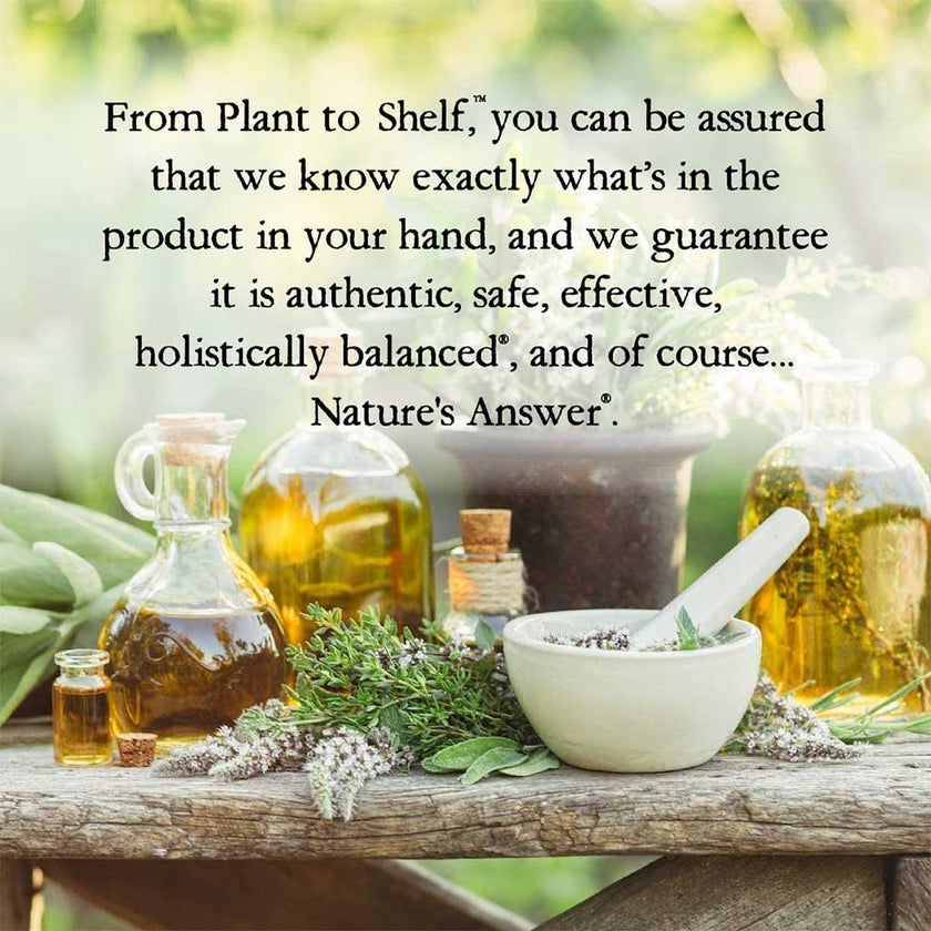 Nature's Answer Propolis 1000mg Vegetarian Drops For Immunity Support 30ml