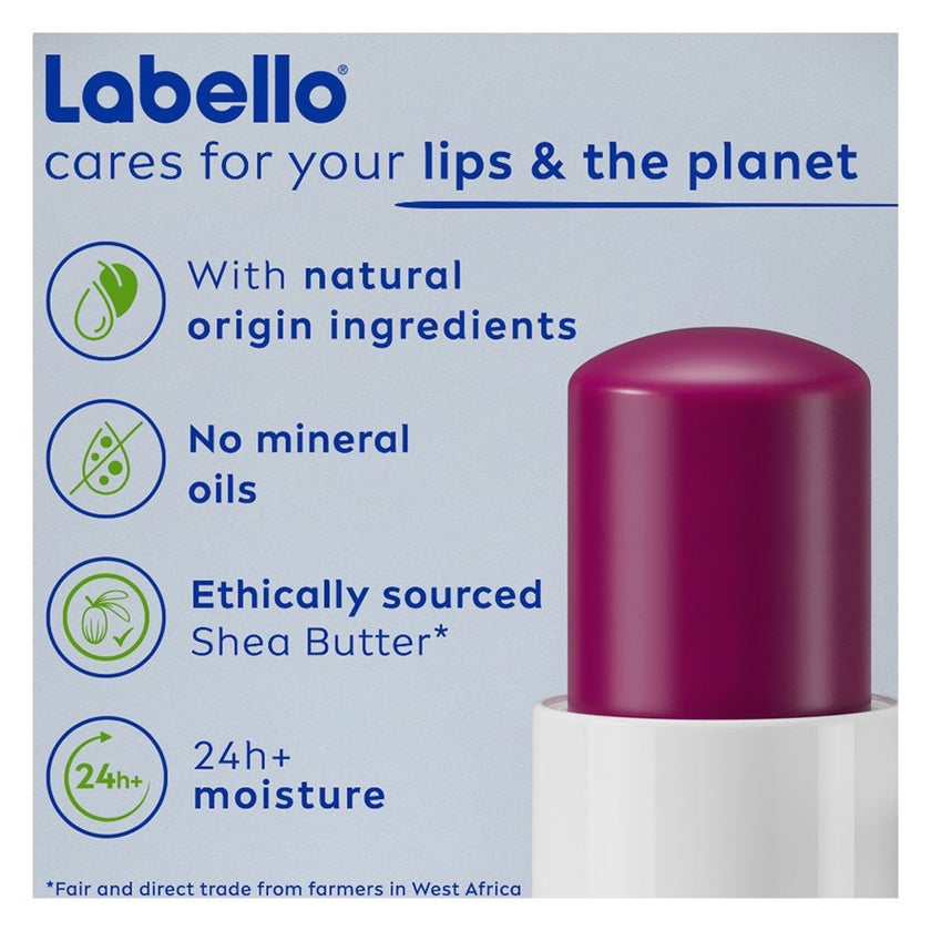 Labello 24H Moisture Black Berry Shine Lip Balm 4.8g - Burgundy Tint