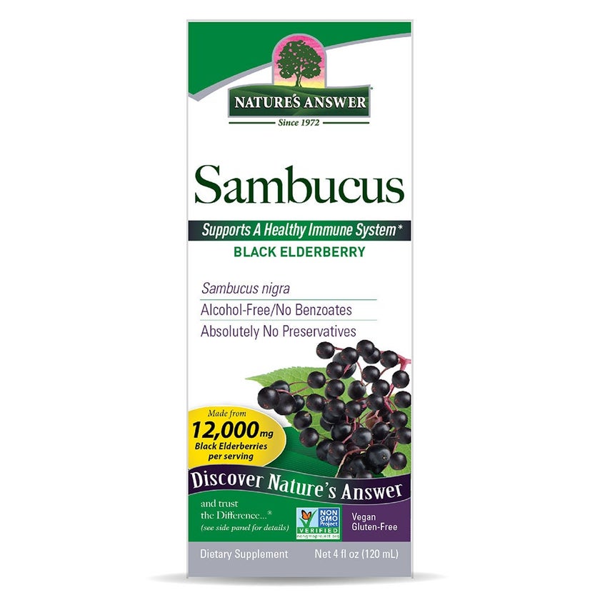 Nature's Answer Sambucus Original Syrup For Immunity 120ml