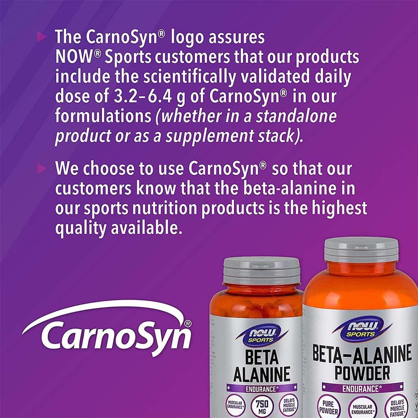 Now Sports Beta Alanine 100% Pure Powder For Muscular Endurance 500g