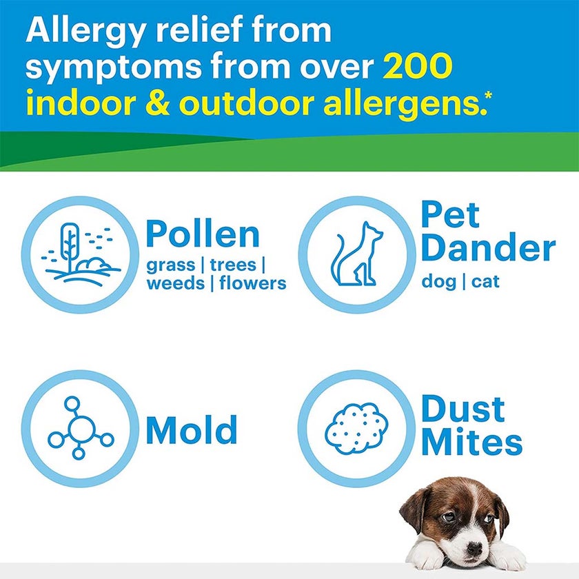 Lorine 10mg Tablets, Pack of 20's