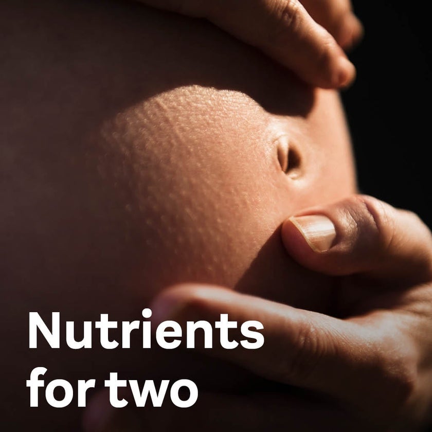 Doppelherz aktiv IroTec Iron + Folic Acid Tablets For Pregnancy Support, Pack of 30's