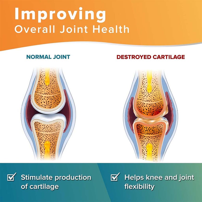 Vitamax Joint Support Tablets With Glucosamine, Chondroitin & Ginger For Mobility & Flexibility, Pack of 60's