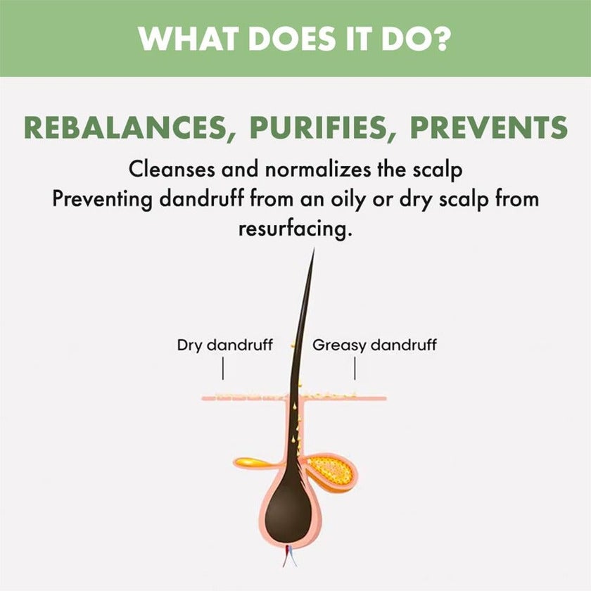 Alfaparf Milano Semi Di Lino Scalp Rebalance Gentle Exfoliating Scrub For Scalps Suffering From Dandruff & Flakes 150ml