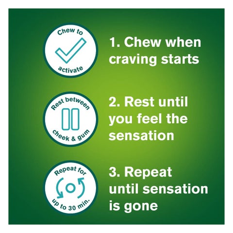 Nicorette 4mg Mint Chewing Gum, Pack of 30's