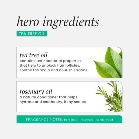 Hask Tea Tree Oil And Rosemary Invigorating Conditioner 355ml