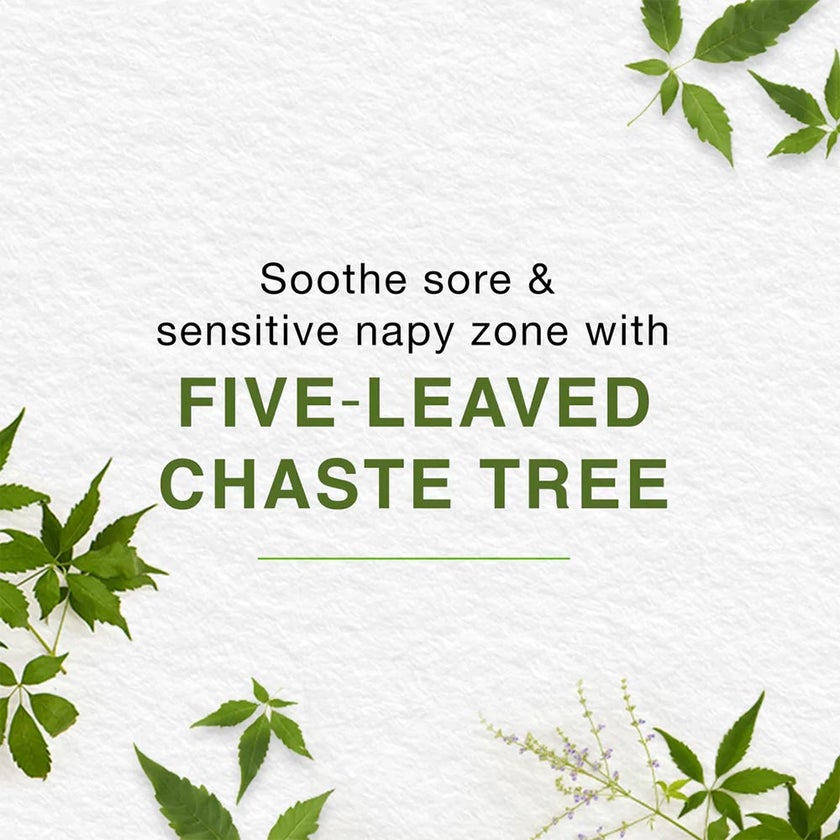 Himalaya Baby Diaper Rash Cream 100ml