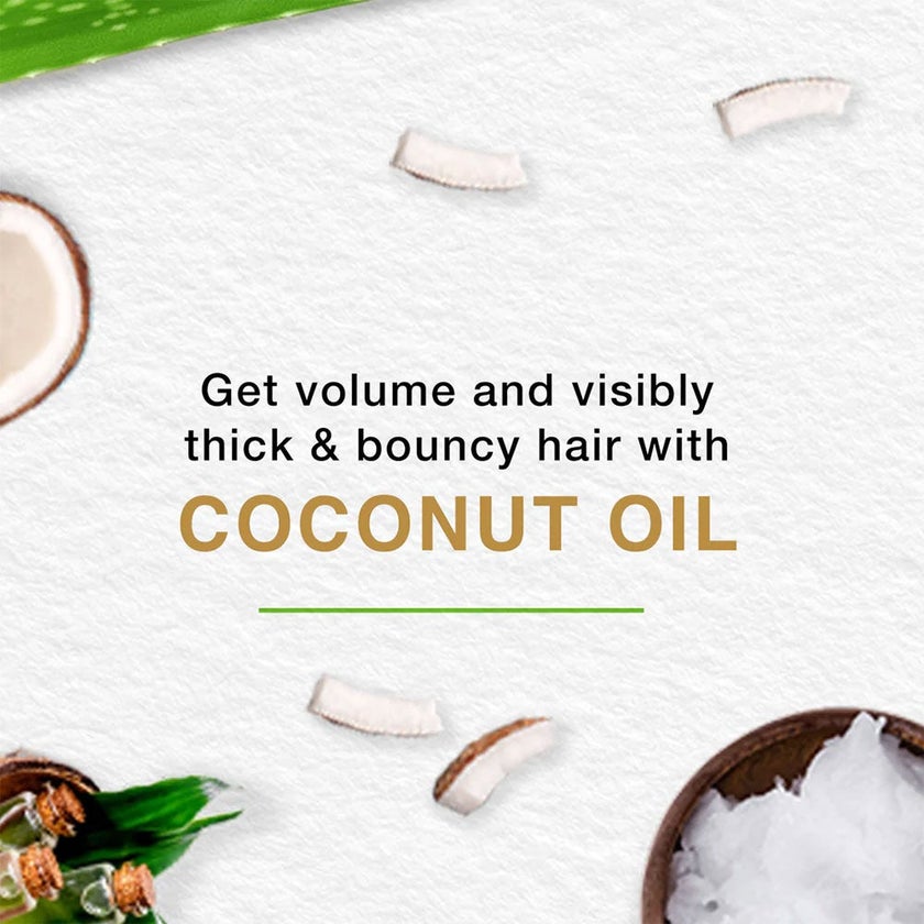 Himalaya Volume & Thickness Shampoo With Coconut Oil 400ml, Pack of 2