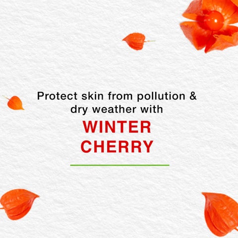 هيمالايا كريم مغذي للبشرة مع الصبار والكرز الشتوي 150 مل