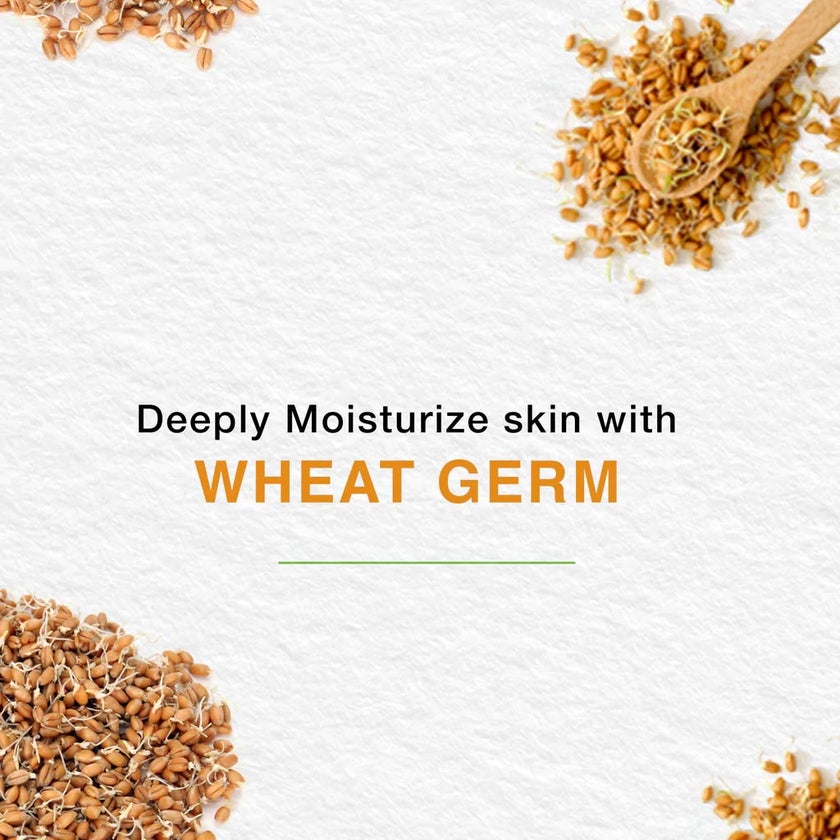 Himalaya Intensive Moisturizing Body Cream With Natural Vitamin E 250ml