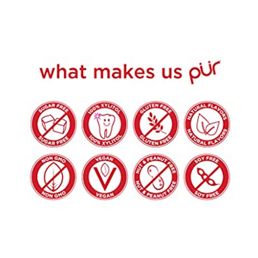 Pur Aspartame & Sugar Free Cinnamon Chewing Gum With Xylitol 9 Pieces