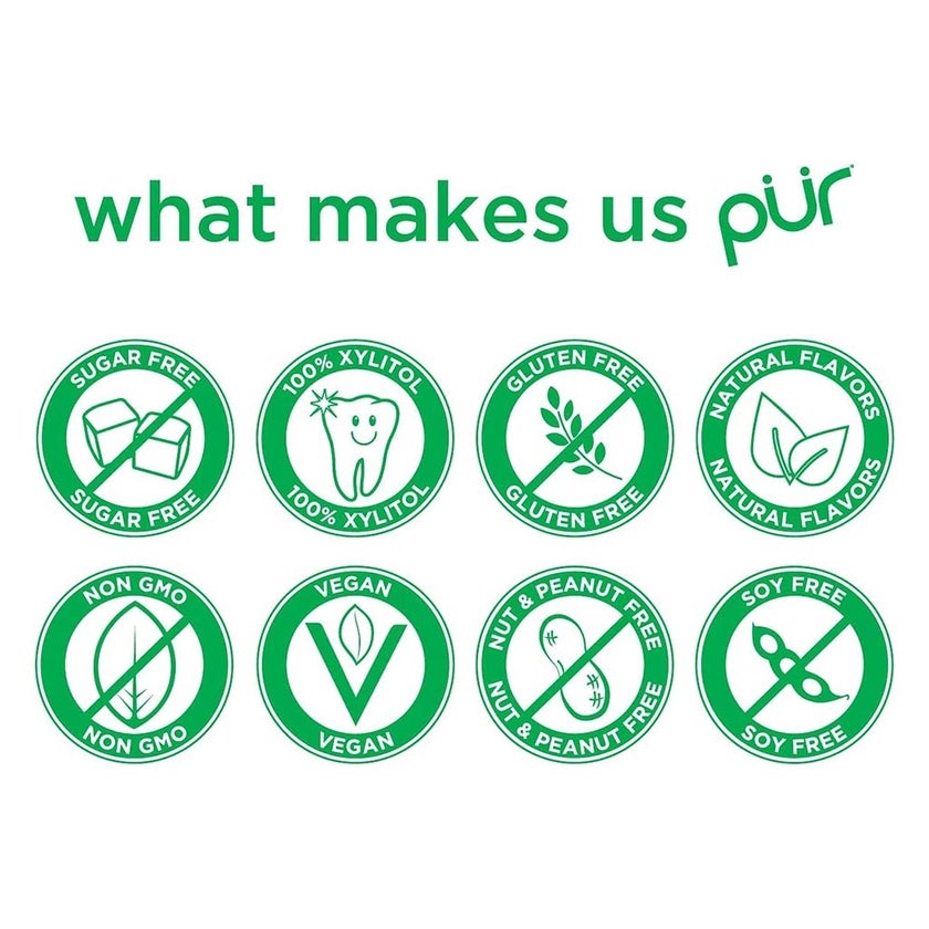 Pur Aspartame & Sugar Free Spearmint Chewing Gum With Xylitol 9 Pieces