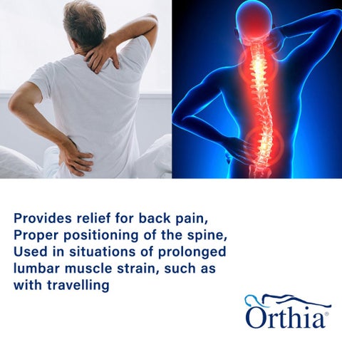 Orthia Lumbar Support Cushion 2401112