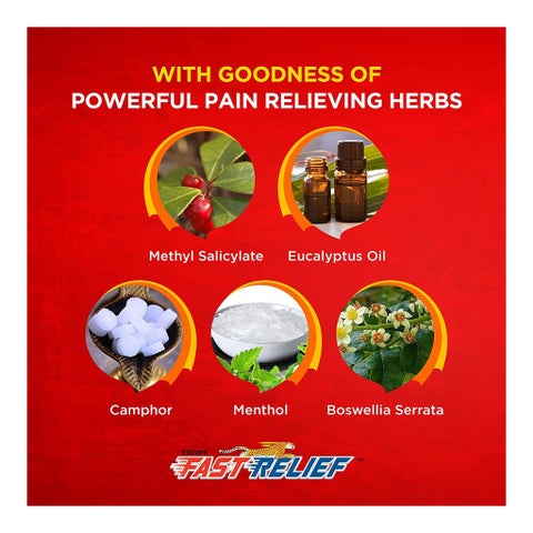 Himani Herbal Ointment For Fast Pain & Sprain Relief 100ml