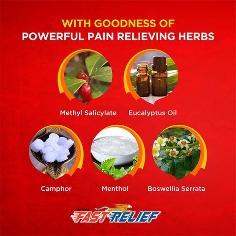 Himani Fast Relief Herbal Pain Relief Ointment - 100g x 2