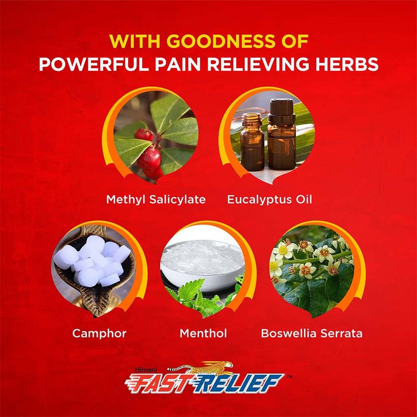 Himani Fast Relief Ointment, Promo Pack of 2 x 100g