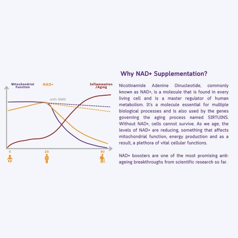 NMN Bio NAD+ 250mg Capsules, Anti-Aging Support - 30 Capsules
