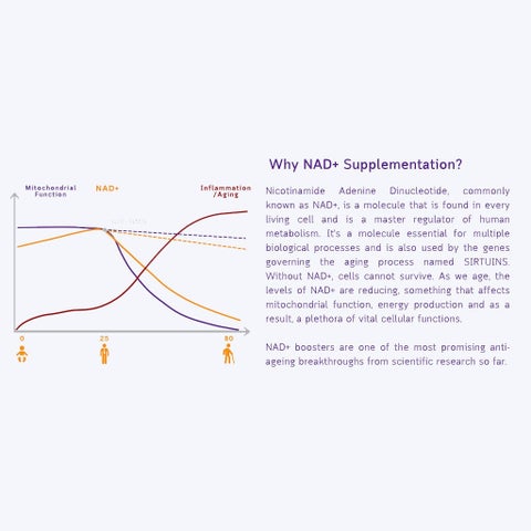 NMN Bio NAD+ 500mg Capsules, Anti-Aging Support - 30 Capsules