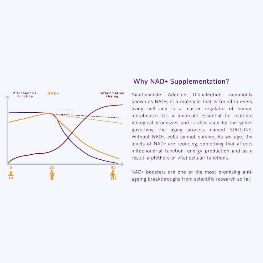 NMN Bio Beta 500mg Anti-Aging Capsules, Pack of 30's