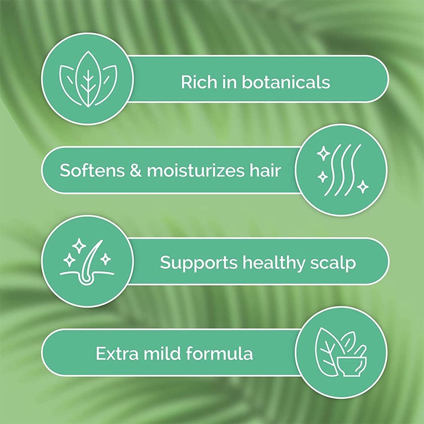 ShiKai Tea Tree Shampoo With Peppermint Oil 355ml