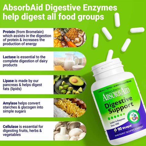 Nature's Sources AbsorbAid Digestive Enzyme Vegetarian Capsules For Digestive Support, Pack of 90's