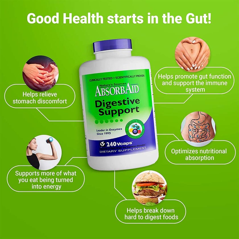 Nature's Sources AbsorbAid Digestive Enzyme Vegetarian Capsules For Digestive Support, Pack of 240's