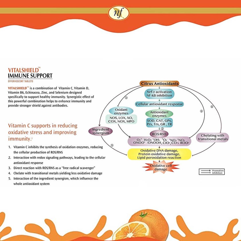 Natural Fervor Vitalshield Immune Support Effervescent Tablets, Pack of 20's