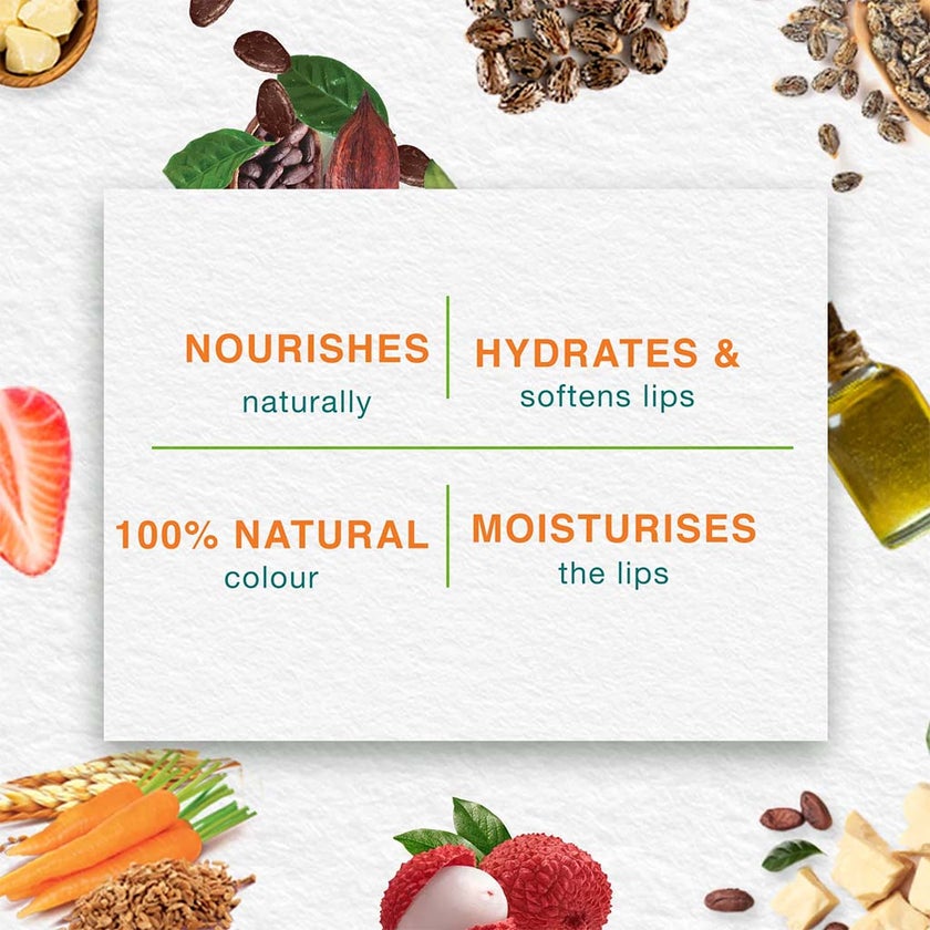 Himalaya Nourishing Lip Balm For Dry Chapped Lips 4.5g